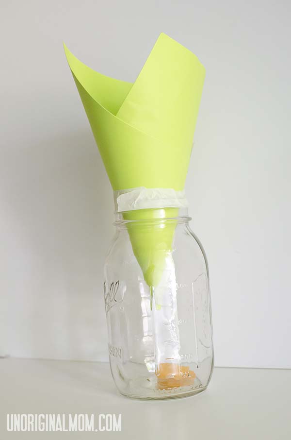 Fruit Fly Funnel for Mason Jars