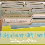 Best Baby Shower Gift Ever!