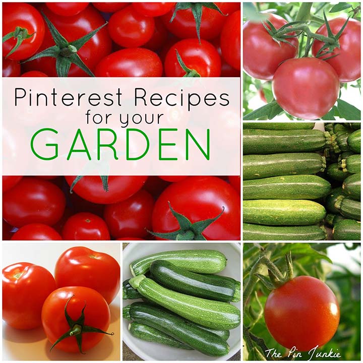 Original Friday Feature - Recipes for your Garden from The Pin Junkie