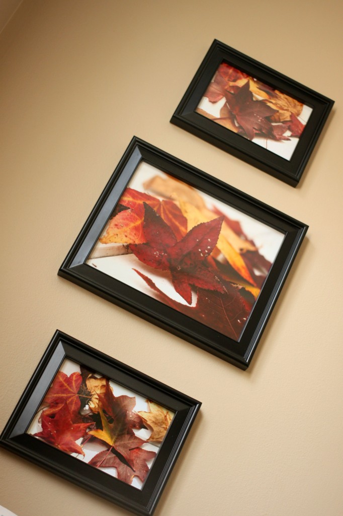 Original Friday Feature from Carrie This Home:  Use photos of colorful fall leaves for indoor color that will last the whole season!