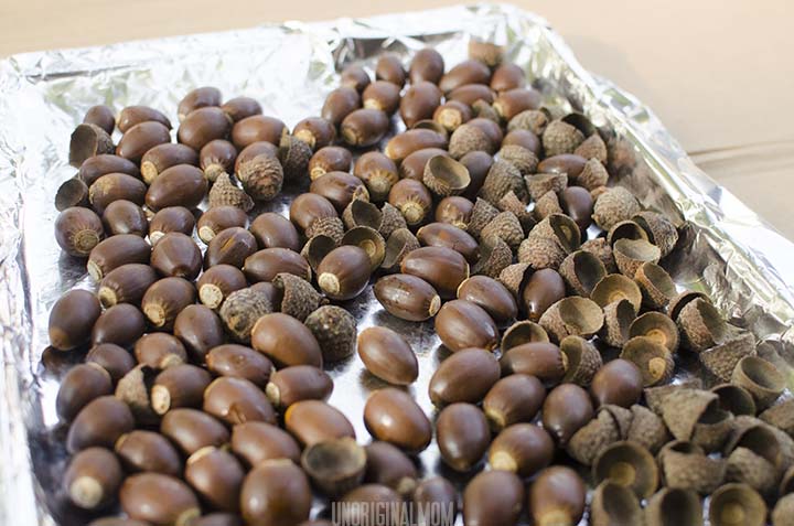 Painted Acorns - how to preserve and spray paint acorns for fall decorating  |  unOriginalMom.com