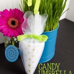 Candy Umbrella Baby Shower Favors