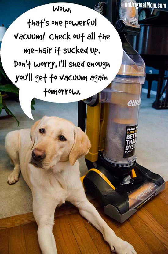 A powerful AND affordable all floors vacuum for less than $100!  #EurekaPower #Cbias #shop