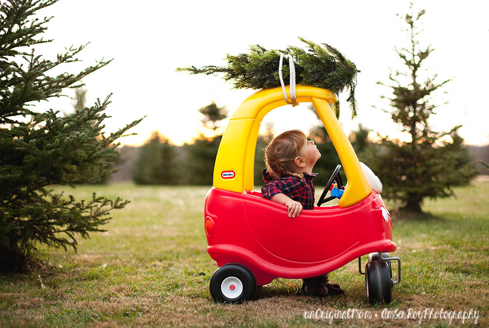 Family Christmas Photos simply styled at a tree farm - perfect for a Christmas card!