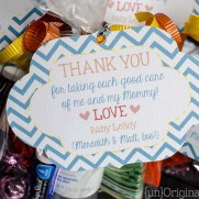Labor and Delivery Nurse Thank You Bags