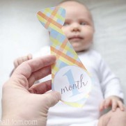 DIY Monthly Baby Stickers