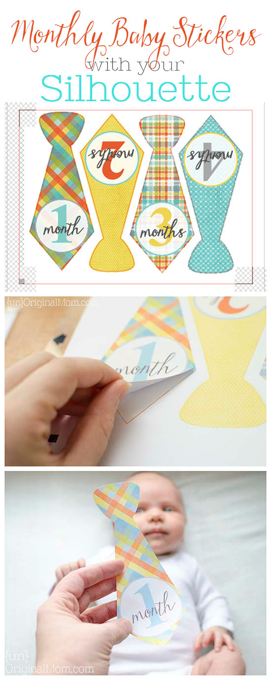 DIY Monthly Baby Stickers - create your own stickers in any shape, size, or color using a Silhouette Cameo or Portrait - what a great baby shower gift!