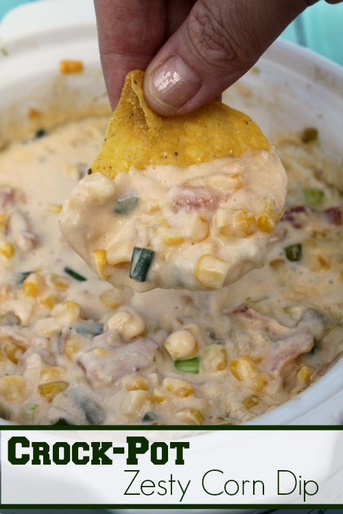 20 Delicious Crock Pot Dip Recipes - perfect for easy game day appetizers and entertaining!