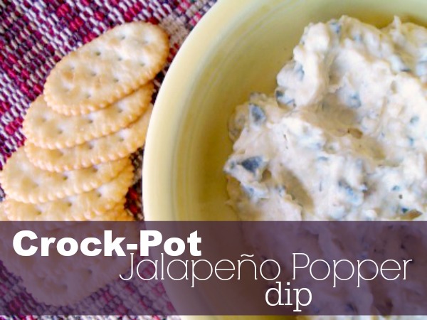 20 Delicious Crock Pot Dip Recipes - perfect for easy game day appetizers and entertaining!