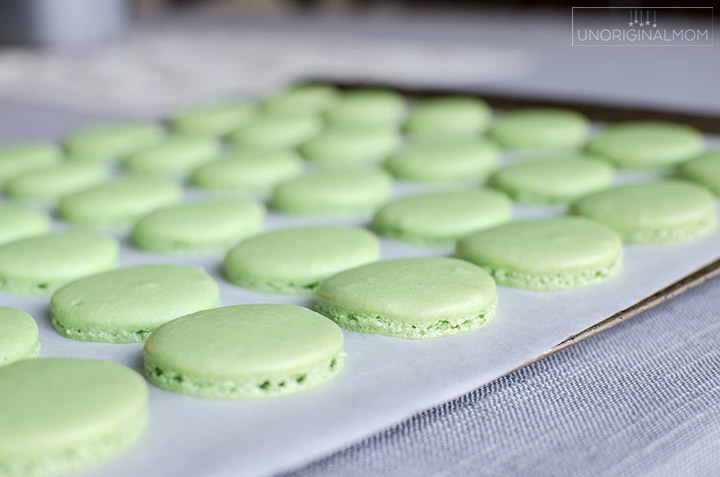 Mint Chocolate Macarons - mint flavored shell filled with chocolate mint ganache. YUM! Perfect for Christmas! #christmasmacarons #macarons #mintchocolatemacarons #christmastreats #handmadeholidays