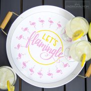 Beginner Vinyl Tutorial: “Let’s Flamingle” Cut File + Tray