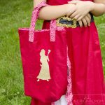 DIY Elena of Avalor Costume