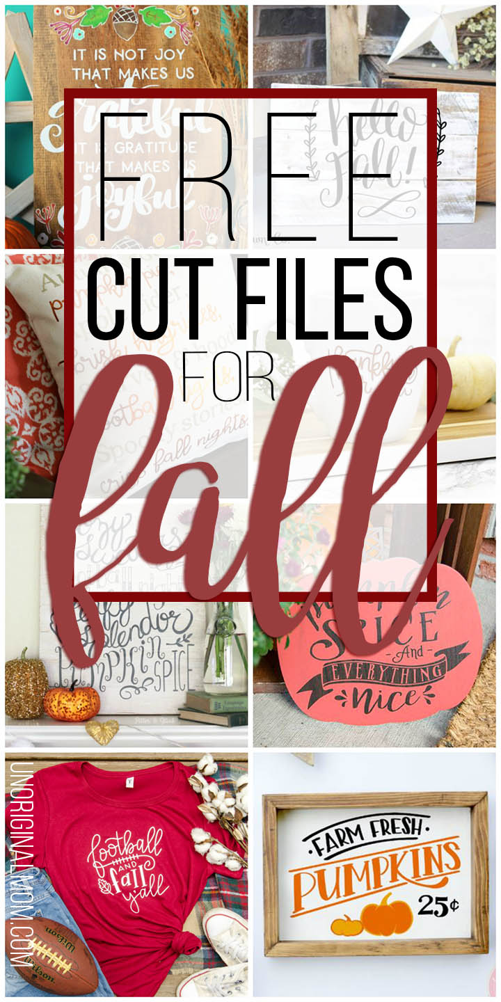 A great list of cute free cut files for fall! Perfect for fall crafting with your Silhouette or Cricut. #freecutfiles