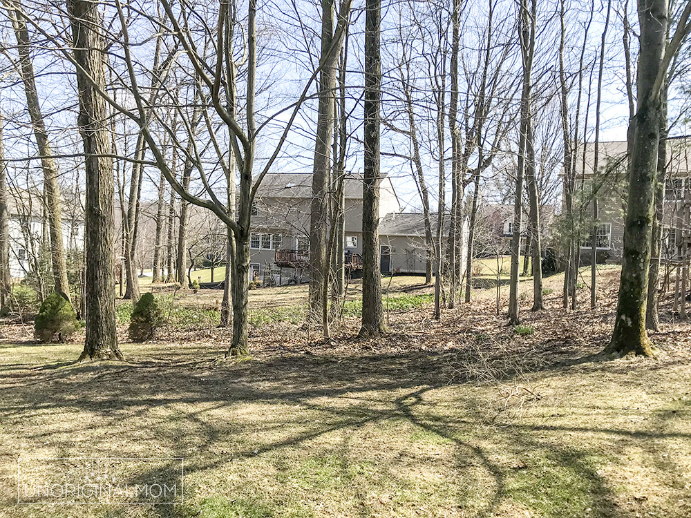 sloped wooded backyard - before the playhouse!